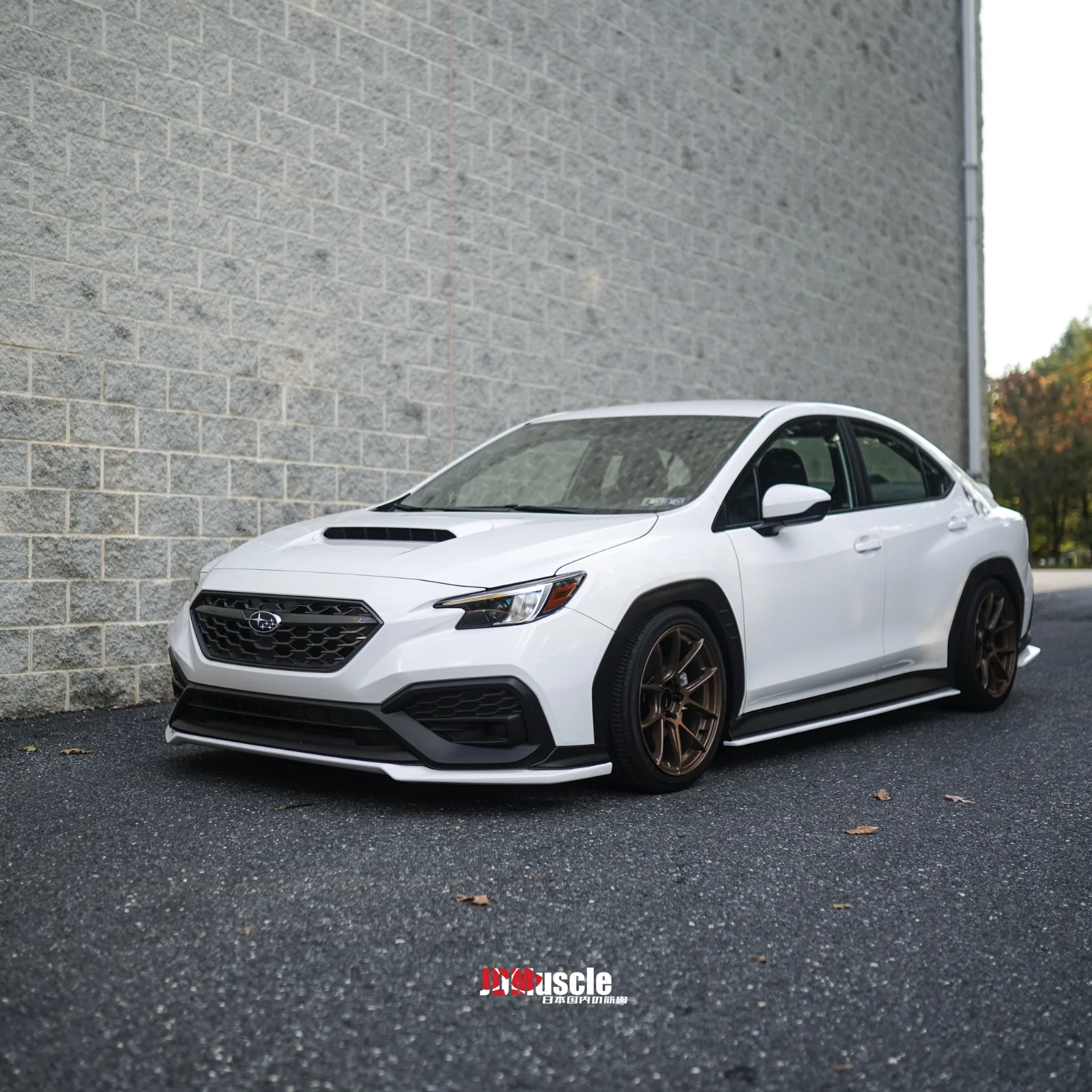 Subaru WRX (2022-2024) Rear Spats OE+ Style - Image 7