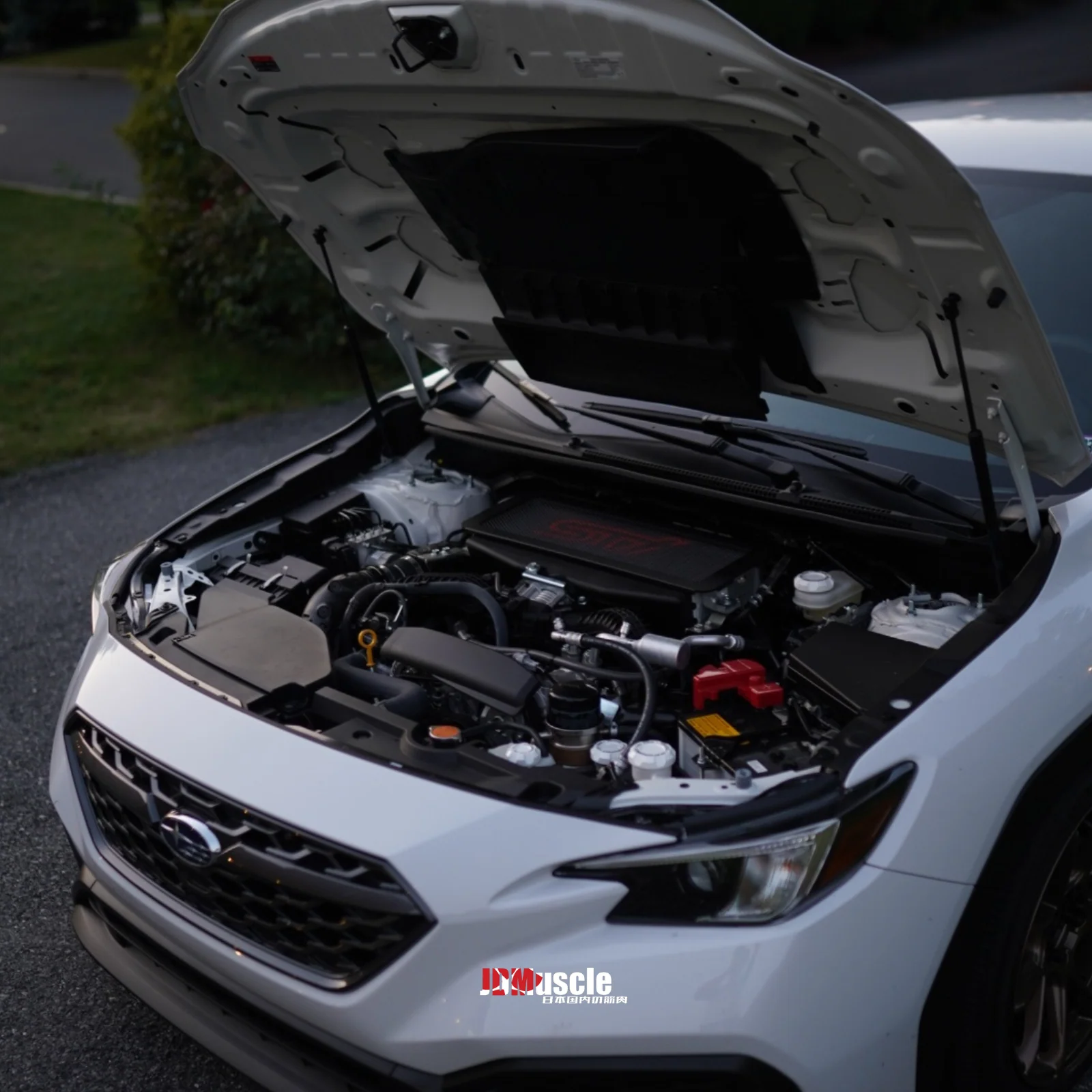 Subaru WRX (2022-2024) Top Mount Intercooler Grille / Mesh Guard - Image 6
